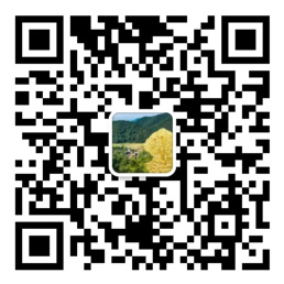 Welcome大发购彩大厅速发